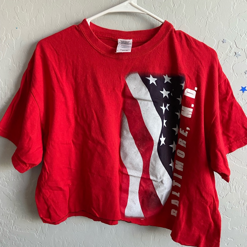 Baltimore Maryland American flag crop top